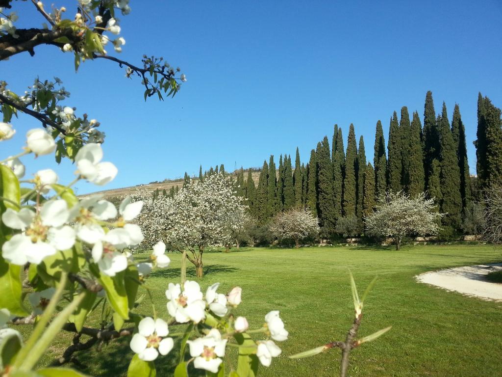 Farm stay La Foresteria Serego Alighieri *