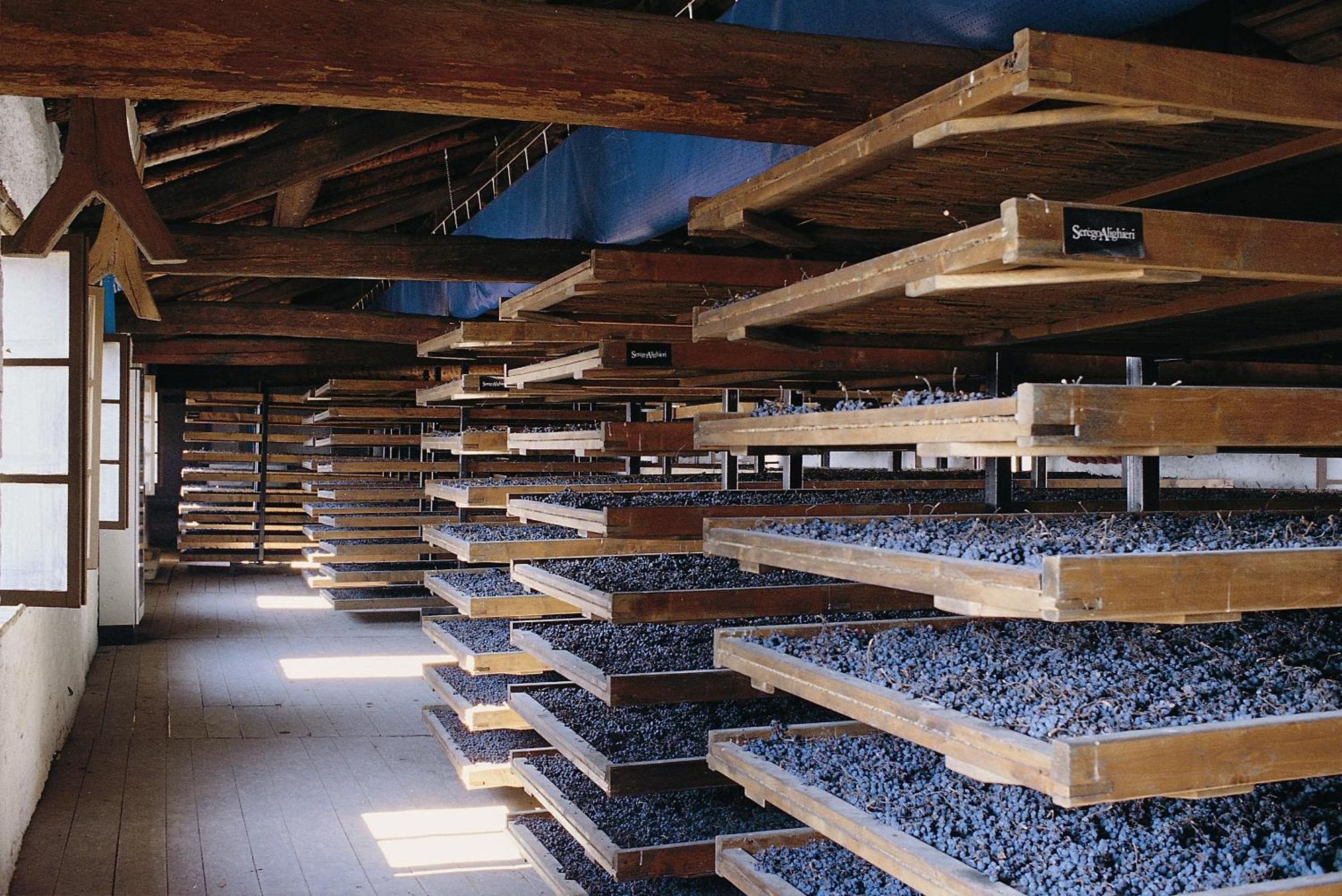 La Foresteria Serego Alighieri Sant'Ambrogio di Valpolicella