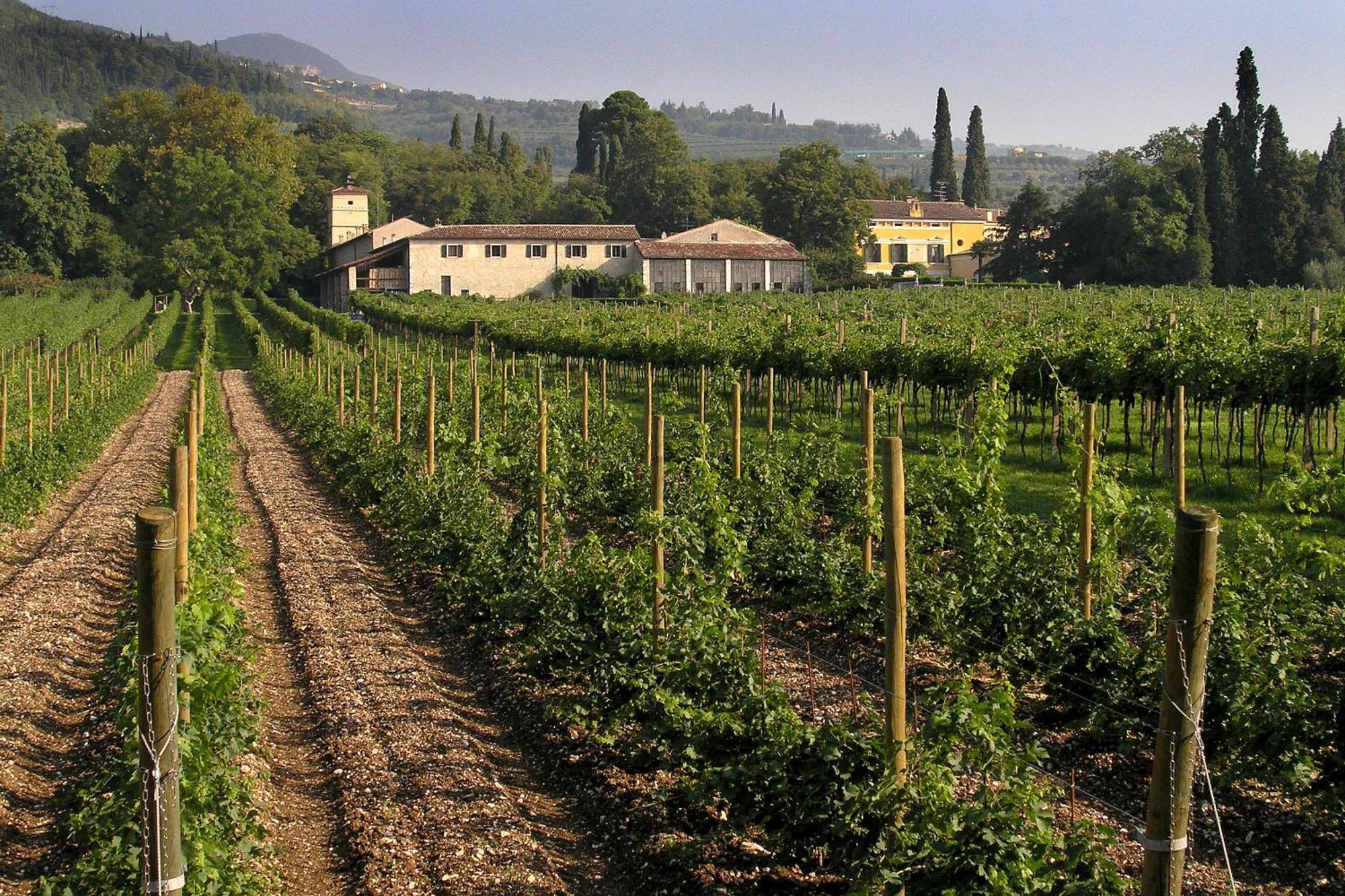 Farm stay La Foresteria Serego Alighieri *