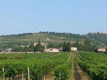 La Foresteria Serego Alighieri Farm stay Sant'Ambrogio di Valpolicella