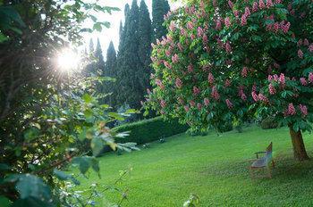 La Foresteria Serego Alighieri Farm stay Sant'Ambrogio di Valpolicella